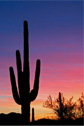 In-Person Math Tutoring For Tucson Arizona